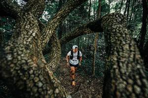 BIB: 
                            <button type="button" onclick="openModal(25392714)" class="btn btn-primary btn-sm float-right btn-popup" data-toggle="modal" data-target=".modal-high-quality">
                        <i class="fas fa-shopping-cart"></i> Add to Cart
                    </button>
                                            <button type="button" onclick="isThisMe(25392714, true)" class="btn btn-success btn-sm float-right btn-popup btn-isme hidden" data-toggle="tooltip" data-placement="bottom" title="นี่คือรูปของคุณใช่ไหม คลิกที่นี่เพื่อเอาเข้าอัลบั้ม">
                        <i class="fas fa-plus"></i> Add to album
                    </button>
                    <button type="button" onclick="isThisMe(25392714, false)" class="btn btn-warning btn-sm float-right btn-popup btn-isnotme hidden">
                        <i class="fas fa-ban"></i> Remove from album
                    </button>